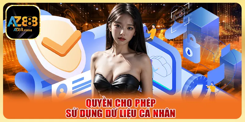 Chính sách bảo mật - Thông tin quan trọng dành cho hội viên 4 Quyền cho phép sử dụng dữ liệu cá nhân